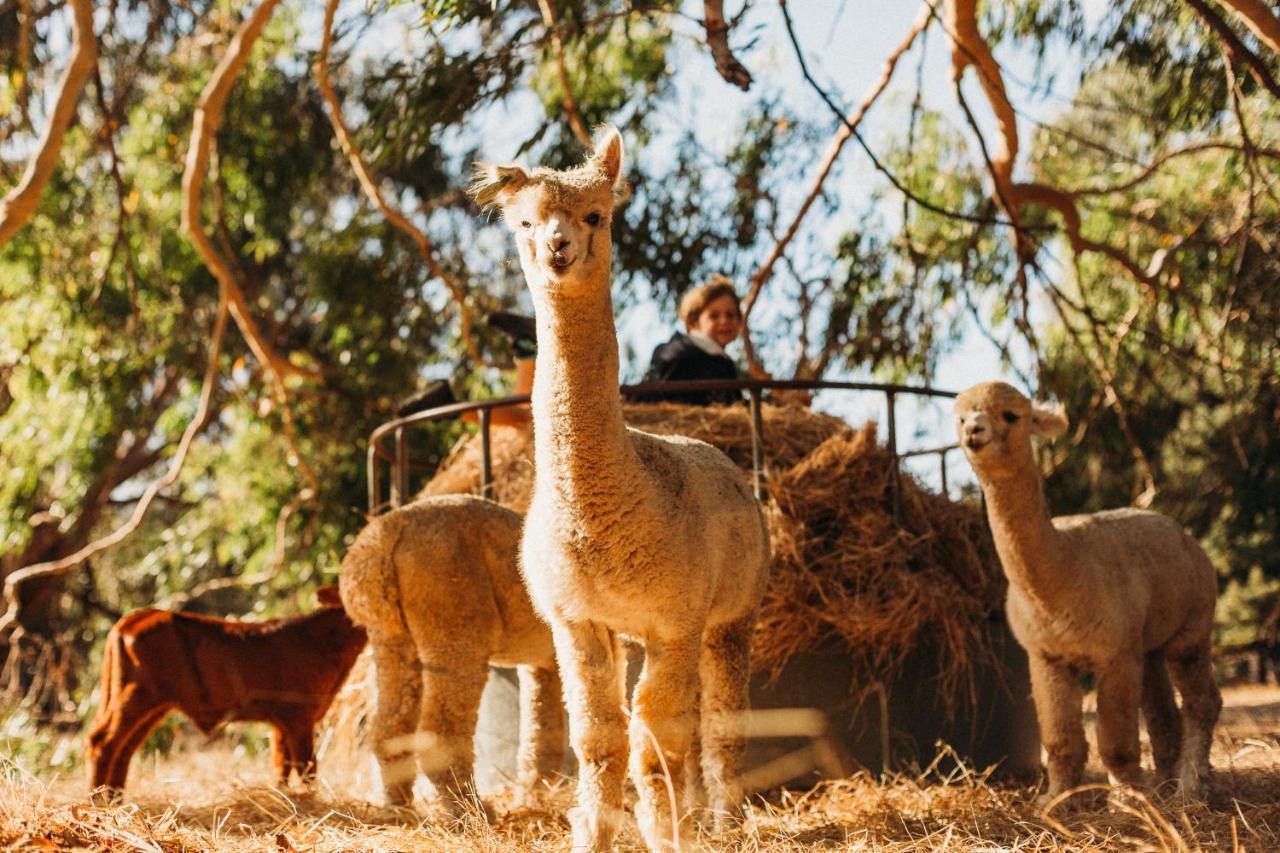 Margaret River Holiday Cottages Luaran gambar
