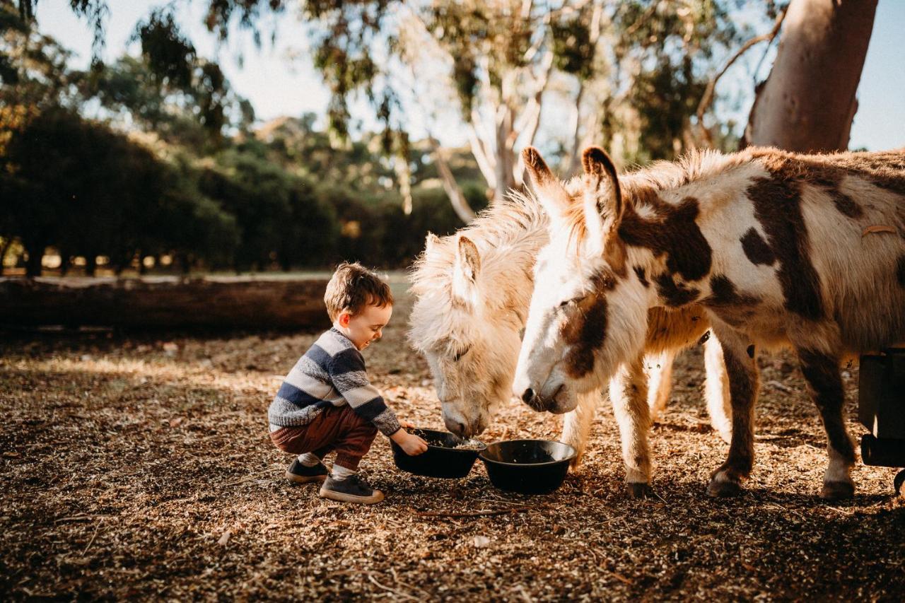 Margaret River Holiday Cottages Luaran gambar