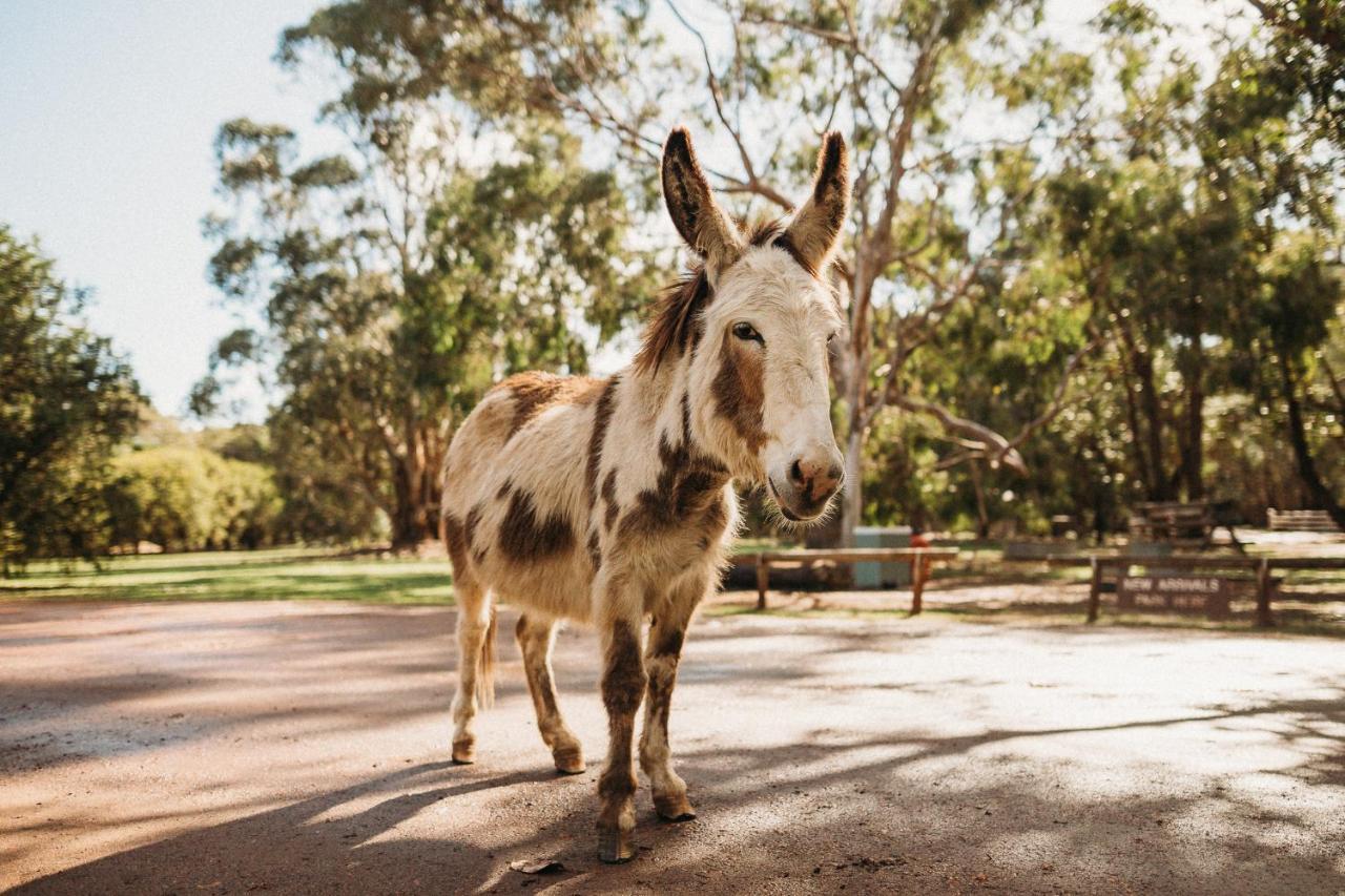 Margaret River Holiday Cottages Luaran gambar
