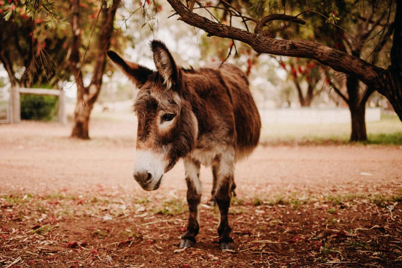 Margaret River Holiday Cottages Luaran gambar