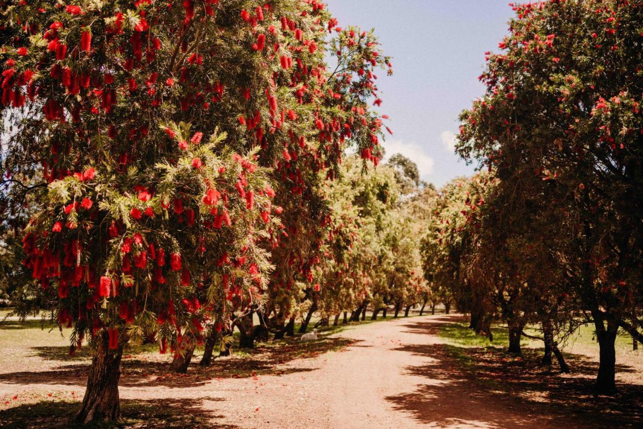 Margaret River Holiday Cottages Luaran gambar